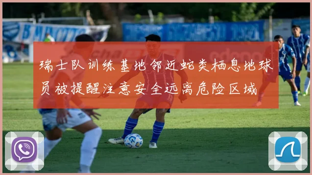 瑞士队训练基地邻近蛇类栖息地球员被提醒注意安全远离危险区域